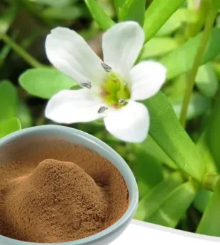 Memopezil™ Bacopa Monnieri Extract